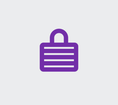 Data Privacy Icon